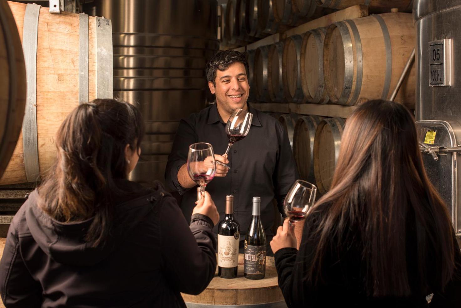Postales Boutique Winery Hotel - Valle De Uco Colonia Las Rosas 외부 사진
