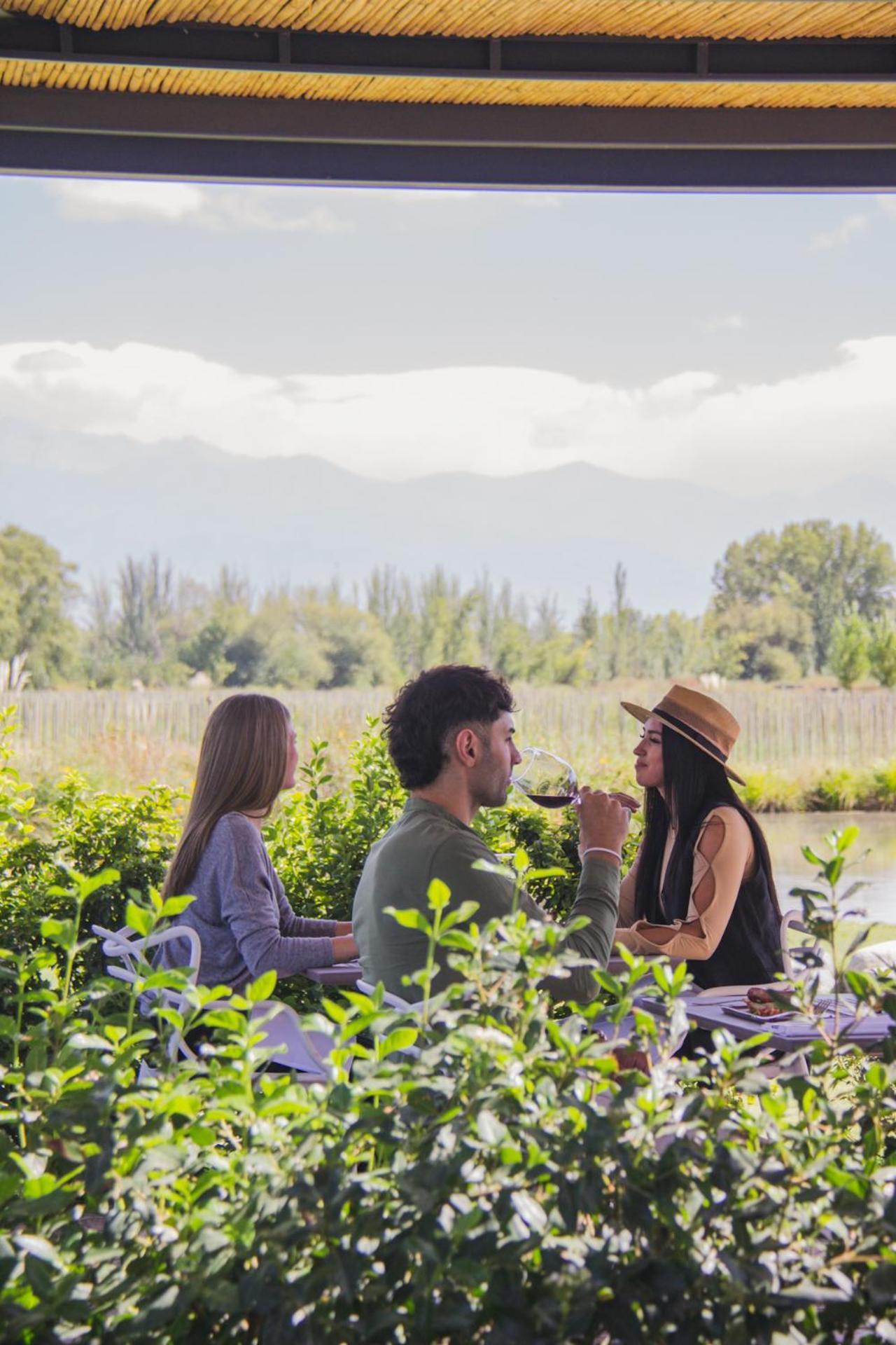 Postales Boutique Winery Hotel - Valle De Uco Colonia Las Rosas 외부 사진