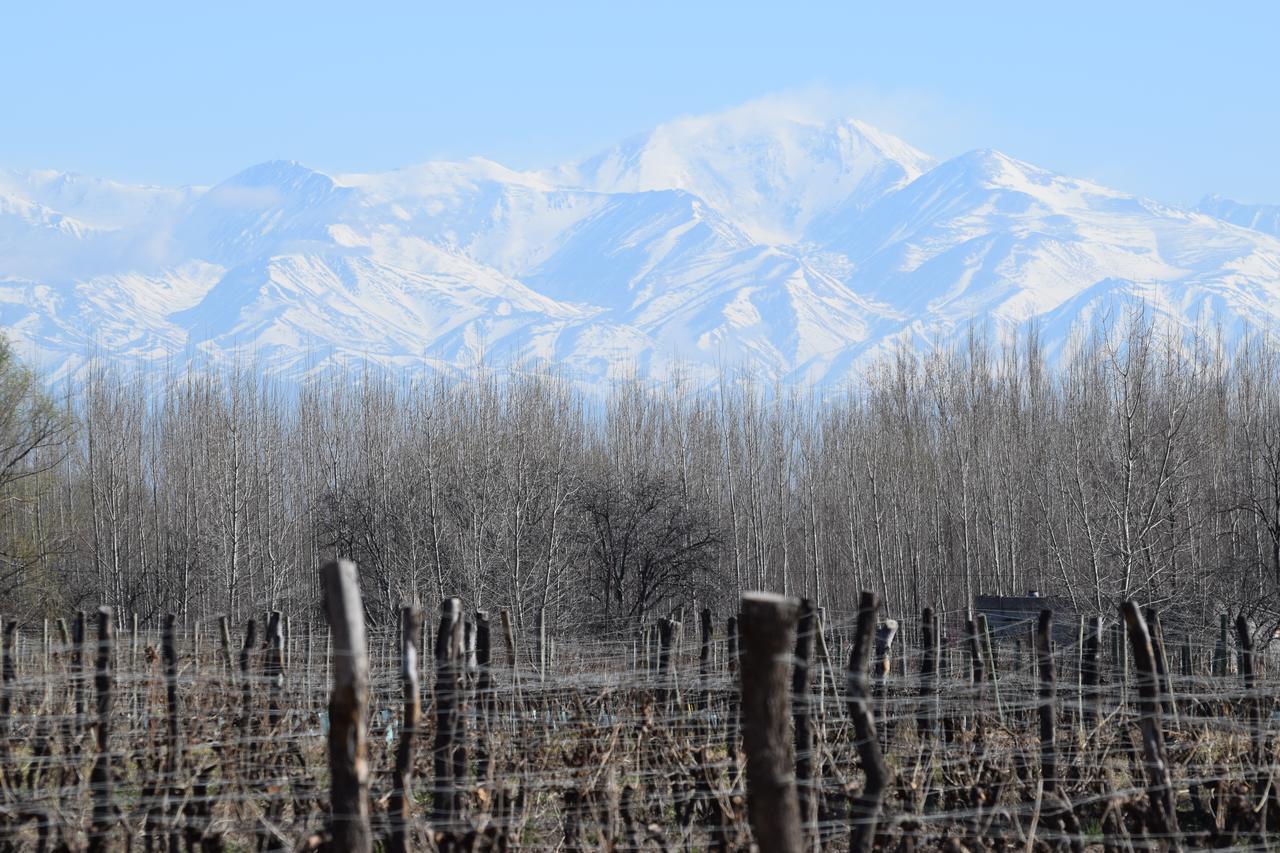 Postales Boutique Winery Hotel - Valle De Uco Colonia Las Rosas 외부 사진