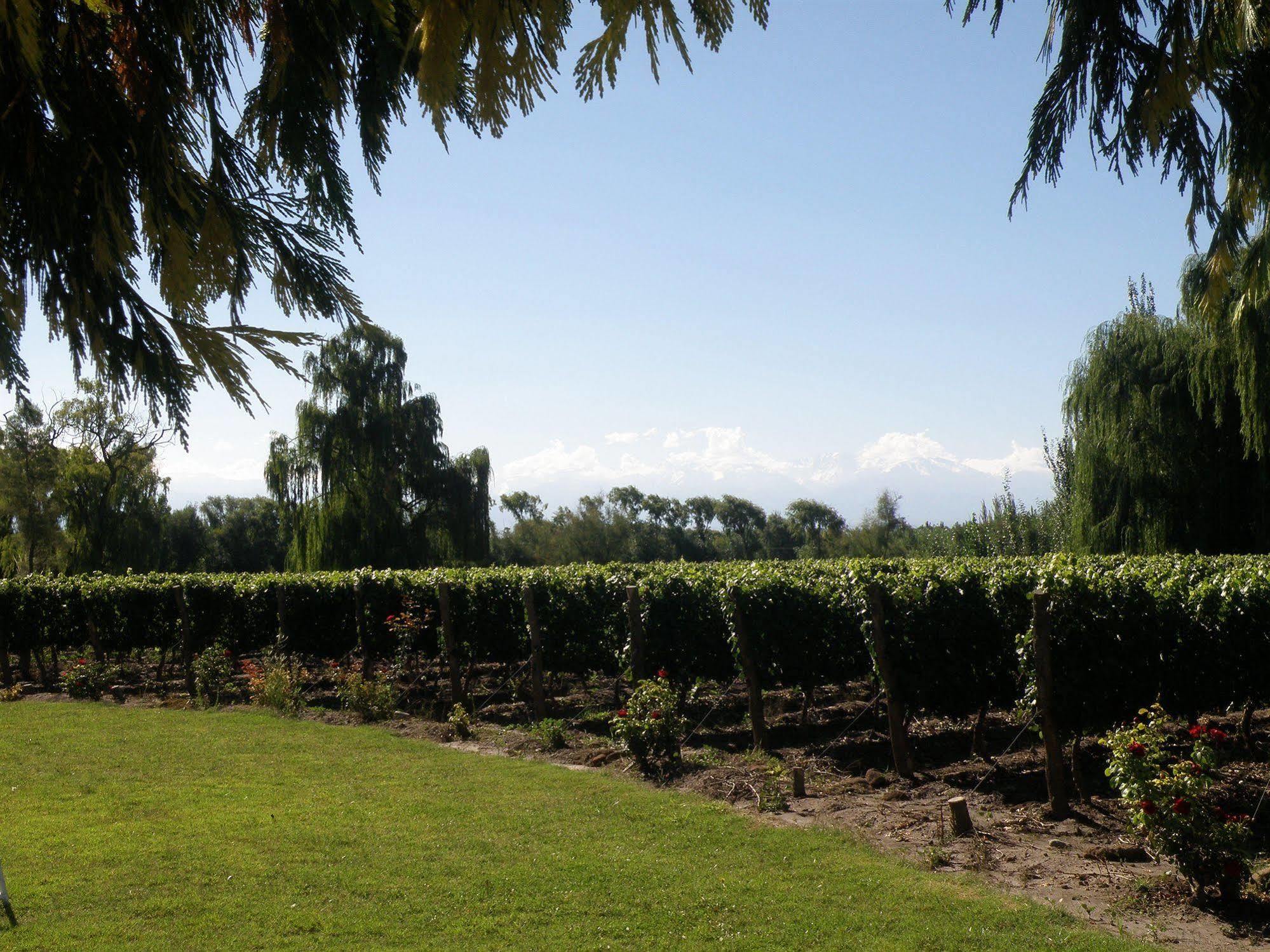 Postales Boutique Winery Hotel - Valle De Uco Colonia Las Rosas 외부 사진