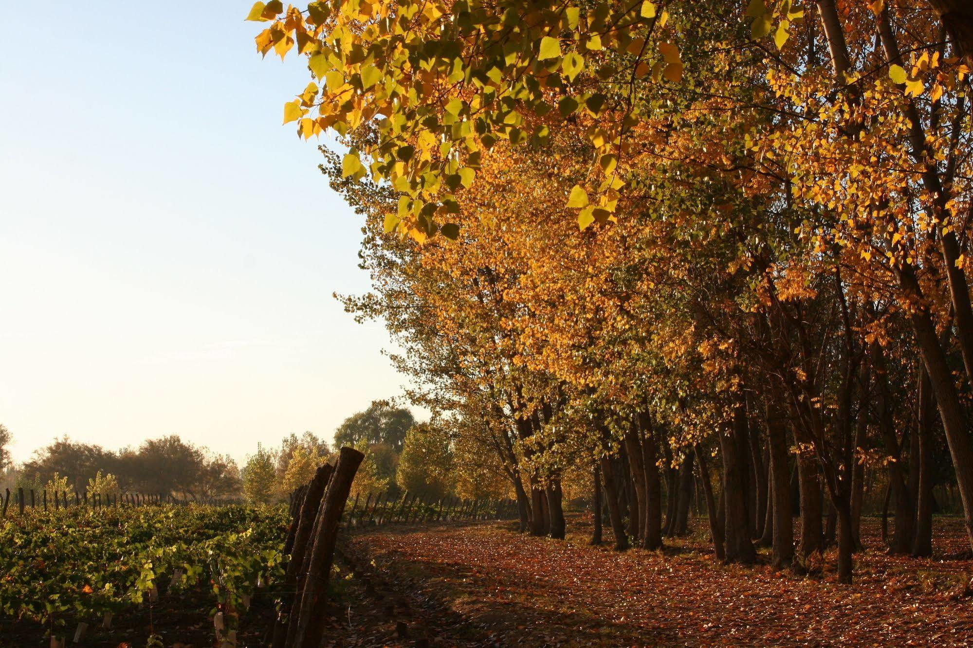 Postales Boutique Winery Hotel - Valle De Uco Colonia Las Rosas 외부 사진