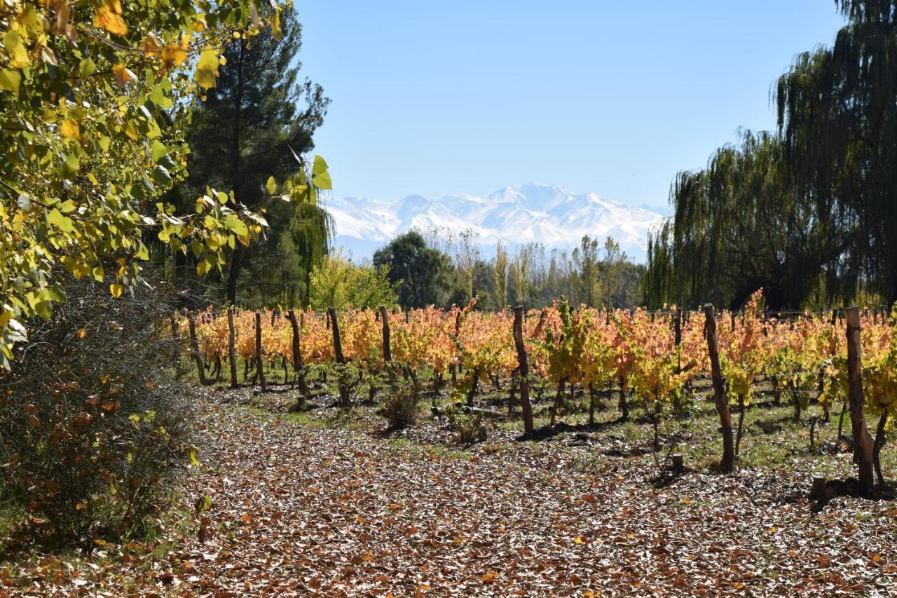 Postales Boutique Winery Hotel - Valle De Uco Colonia Las Rosas 외부 사진