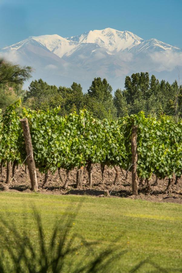 Postales Boutique Winery Hotel - Valle De Uco Colonia Las Rosas 외부 사진