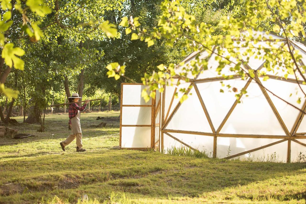 Postales Boutique Winery Hotel - Valle De Uco Colonia Las Rosas 외부 사진
