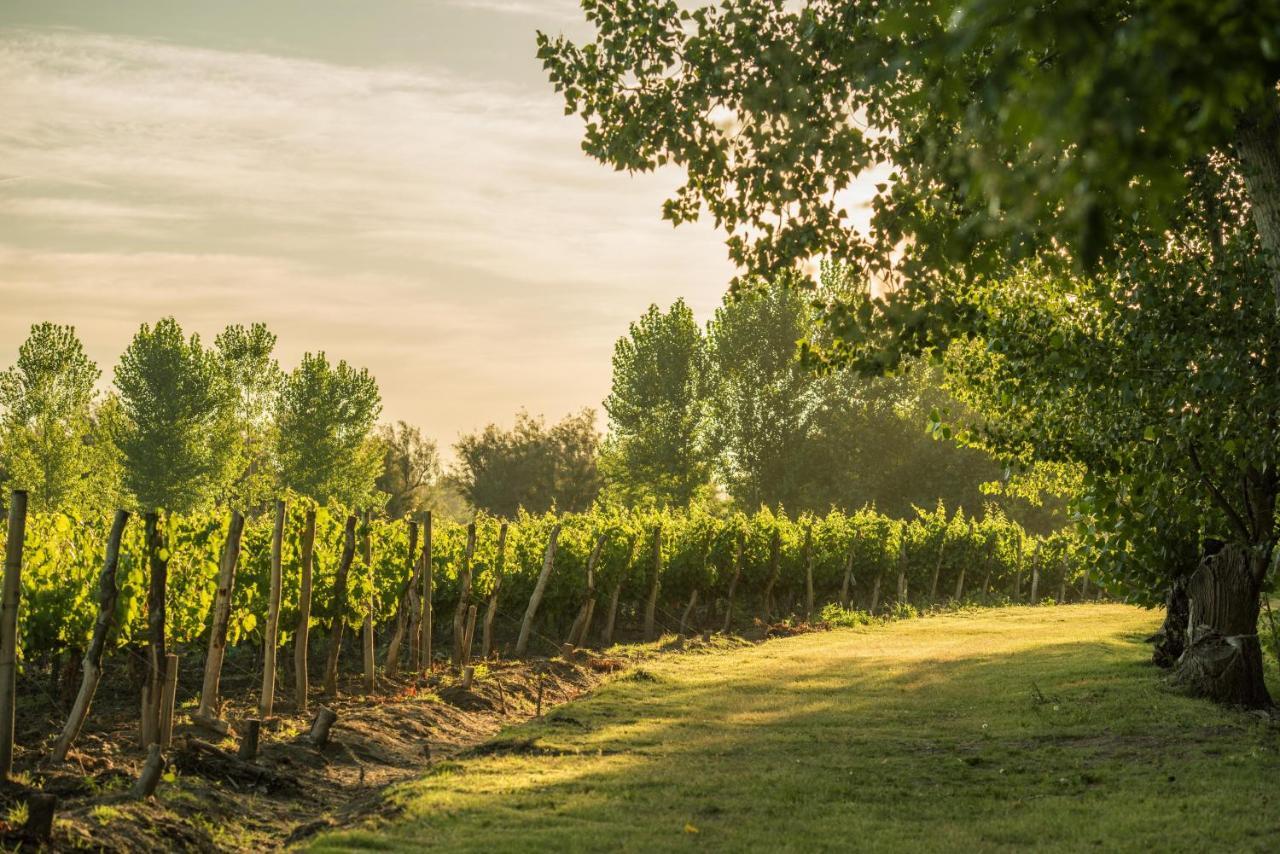 Postales Boutique Winery Hotel - Valle De Uco Colonia Las Rosas 외부 사진